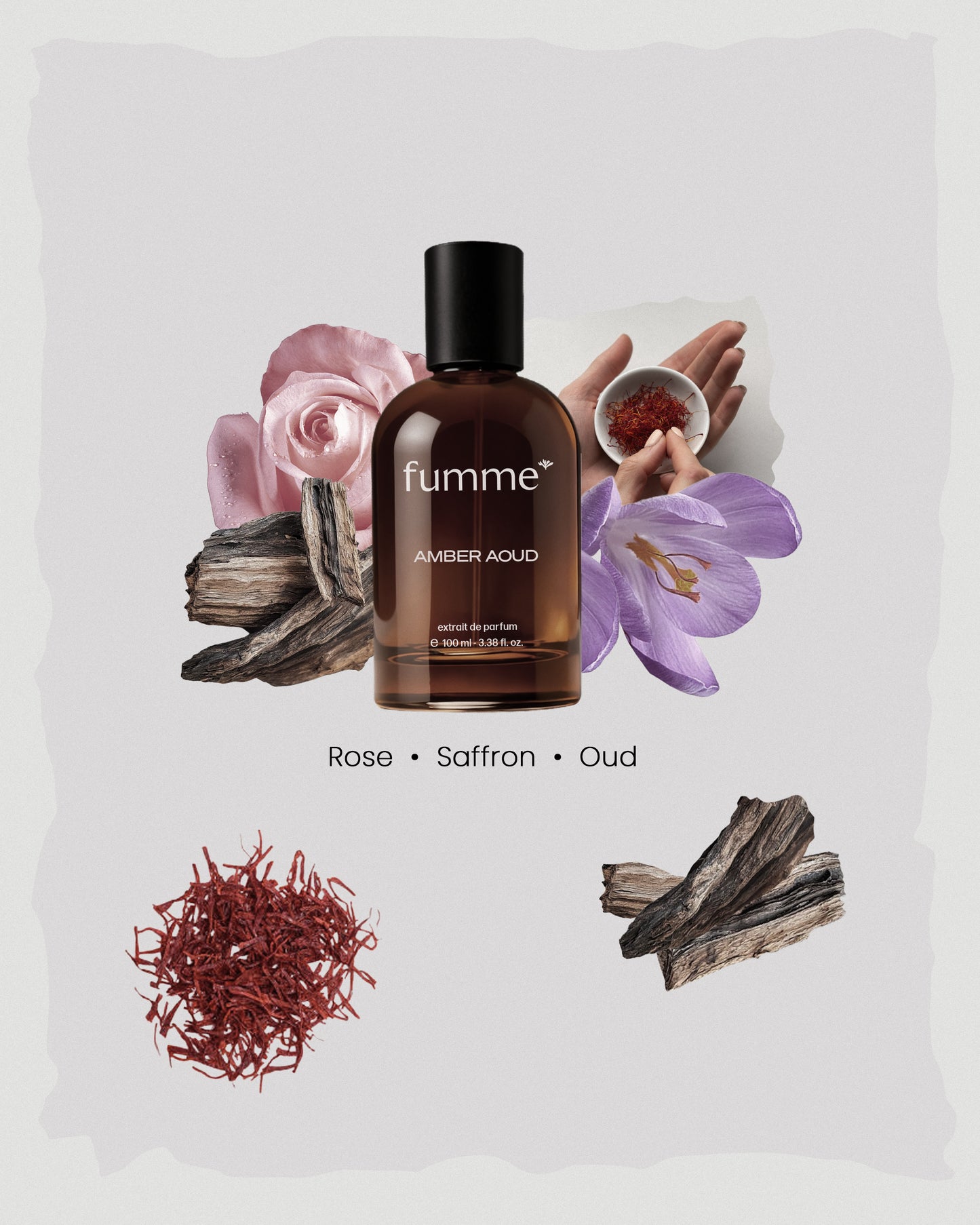 Amber Aoud